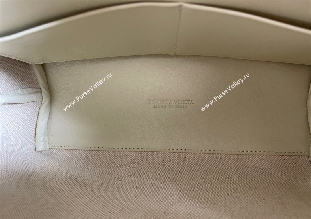 Bottega Veneta Small Andiamo Top Handle Bag in Raffia Straw and Leather Sea Sault 2025 743568 (WT-250731032)