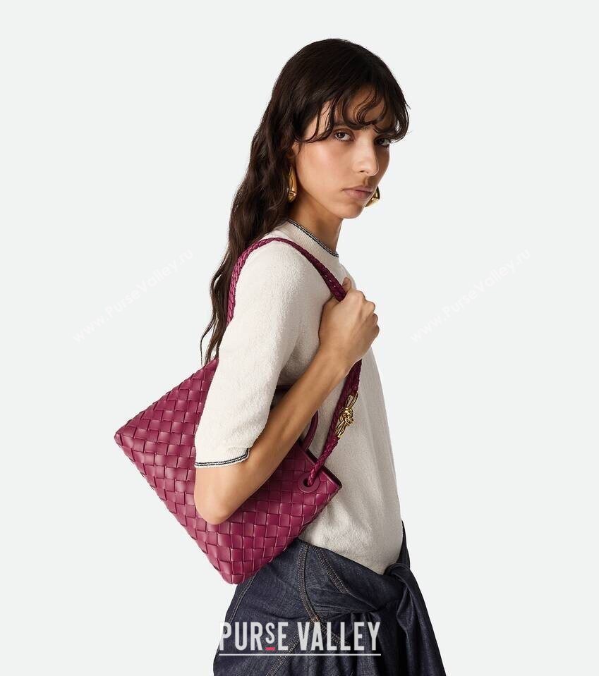 Bottega Veneta Small Andiamo Top Handle Bag in Intrecciato Leather Cinnabar Purple 2025 743568 (WT-250731037)