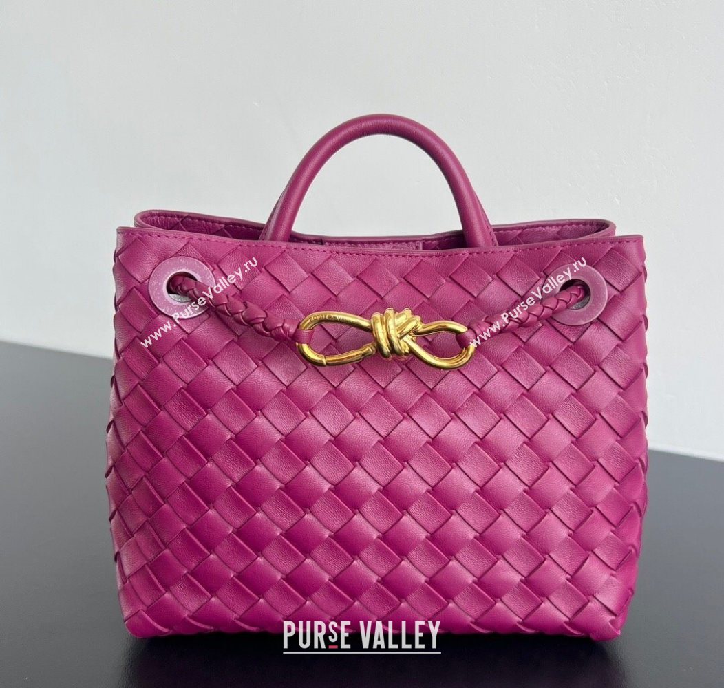 Bottega Veneta Small Andiamo Top Handle Bag in Intrecciato Leather Cinnabar Purple 2025 743568 (WT-250731037)