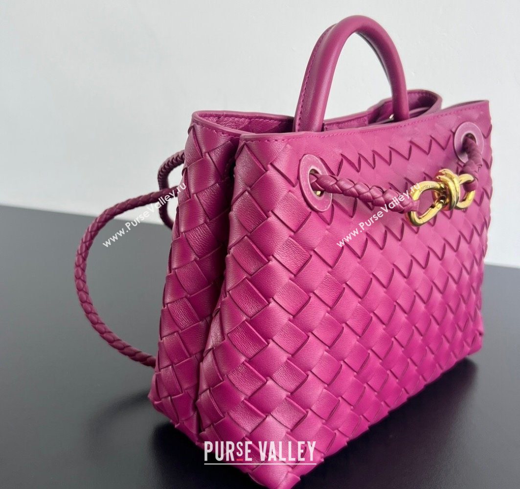 Bottega Veneta Small Andiamo Top Handle Bag in Intrecciato Leather Cinnabar Purple 2025 743568 (WT-250731037)