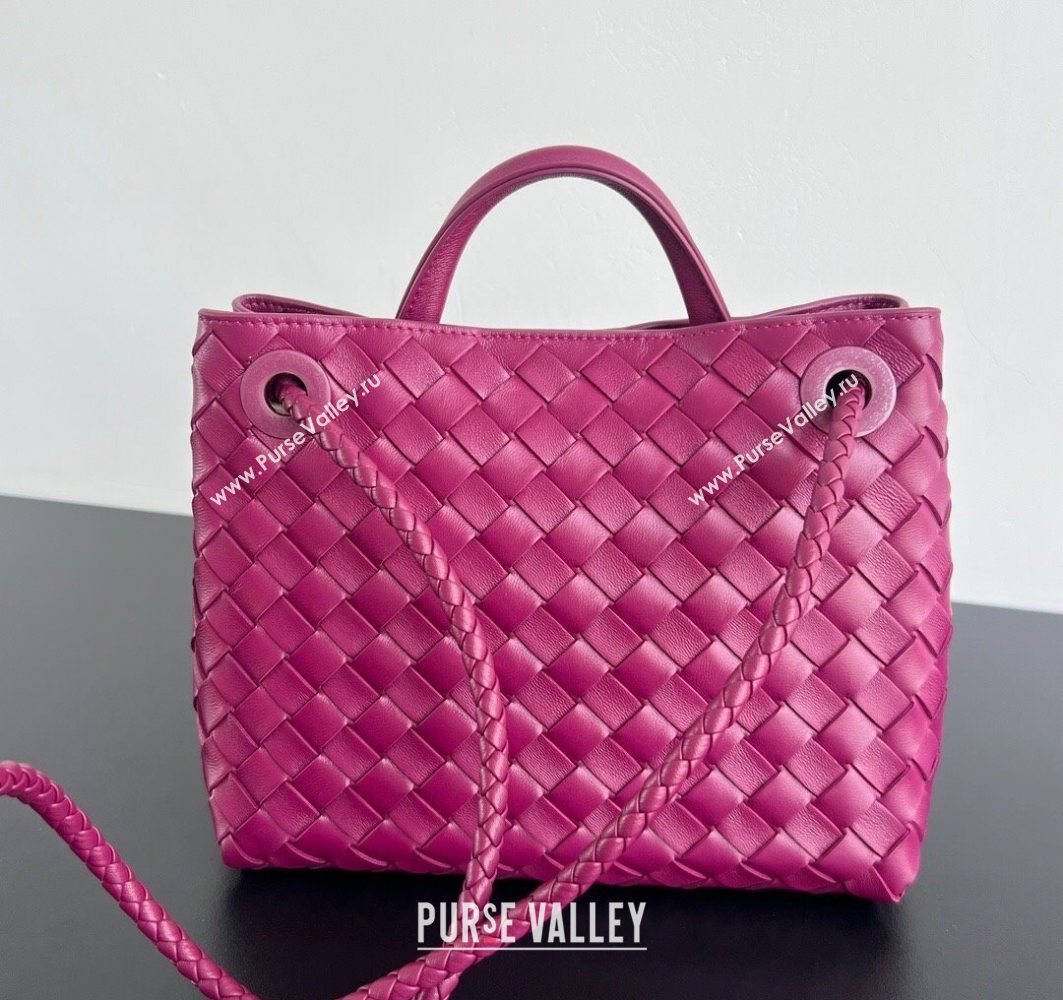Bottega Veneta Small Andiamo Top Handle Bag in Intrecciato Leather Cinnabar Purple 2025 743568 (WT-250731037)
