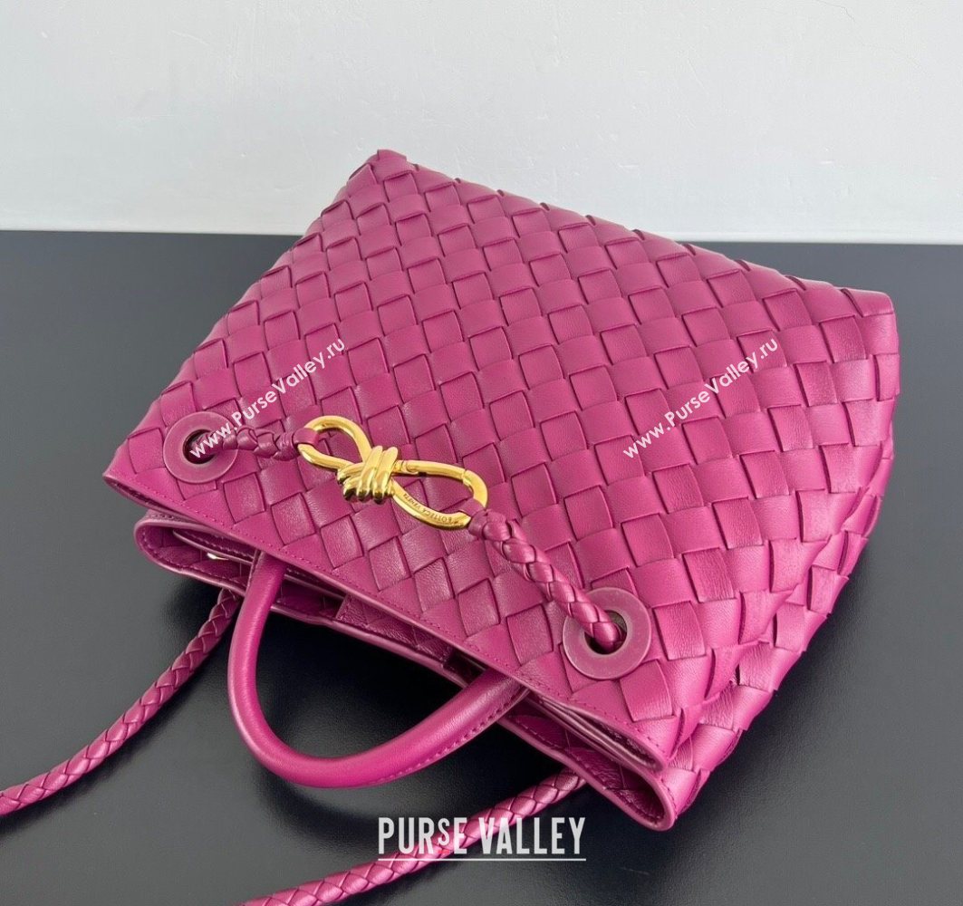 Bottega Veneta Small Andiamo Top Handle Bag in Intrecciato Leather Cinnabar Purple 2025 743568 (WT-250731037)
