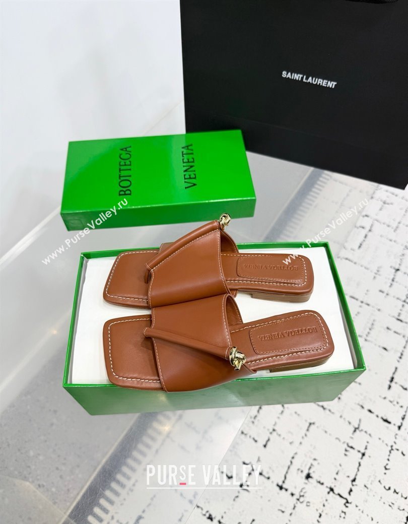 Bottega Veneta Solstice Flat Thong Slides Sandal in Calfskin Leather Brown 2025 (KER-250823063)