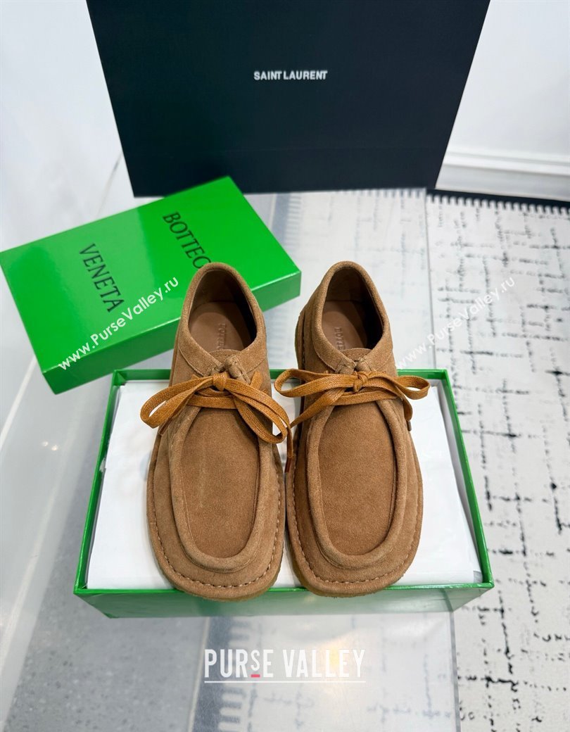 Bottega Veneta Daddy Lace-Up Shoes in Suede Brown 2025 (KER-250823065)