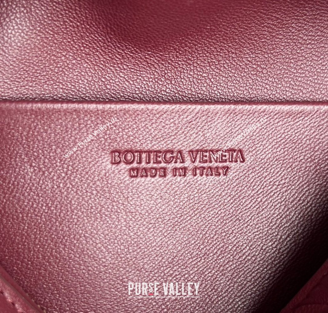 Bottega Veneta Small Soft Vanity Bag in Intrecciato Leather Barolo Red 2025 843800 (WT-250924001)