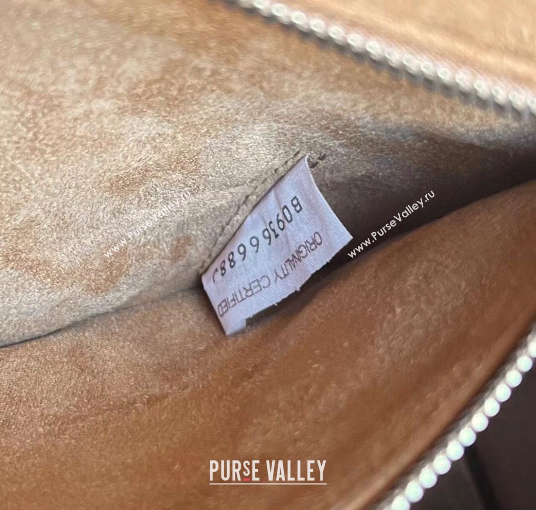 Bottega Veneta Mens Arco Camera Bag Bag in Intrecciato Leather Dark Green 2025 731165 (WT-250924038)