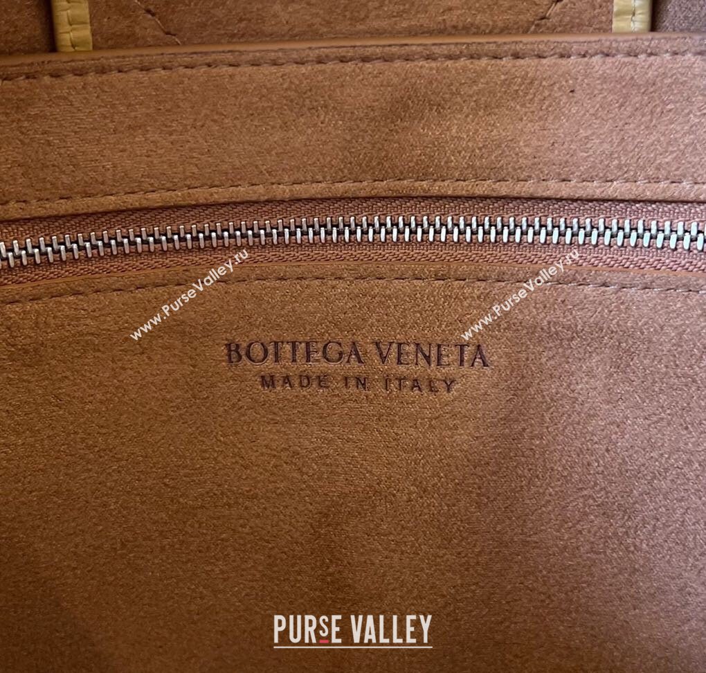 Bottega Veneta Mens Arco Camera Bag Bag in Intrecciato Leather Cassawa Yellow 2025 731165 (WT-250924039)