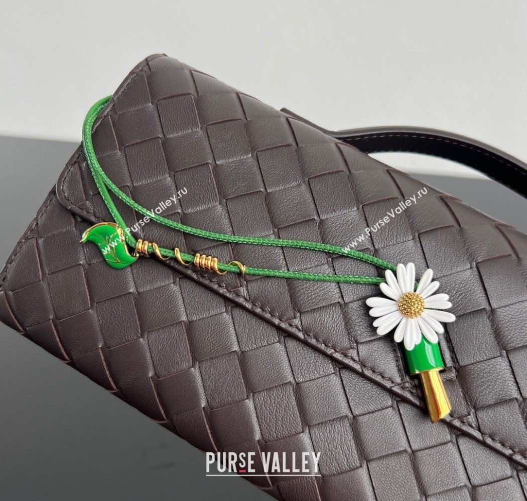 Bottega Veneta Andiamo Daisy Long Clutch Bag in Intrecciato Leather Fondant Brown 2025 836810 (WT-250924025)