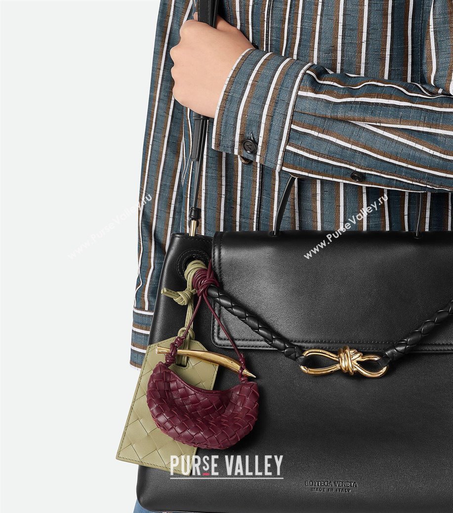 Bottega Veneta Miniature Sardine Bag in Intrecciato Leather Barolo Red 2025 836834 (WT-250924014)