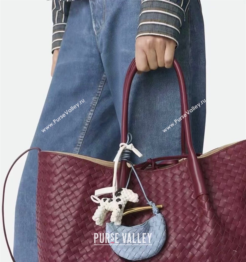 Bottega Veneta Miniature Sardine Bag in Intrecciato Leather Tomato Red 2025 836834 (WT-250924017)