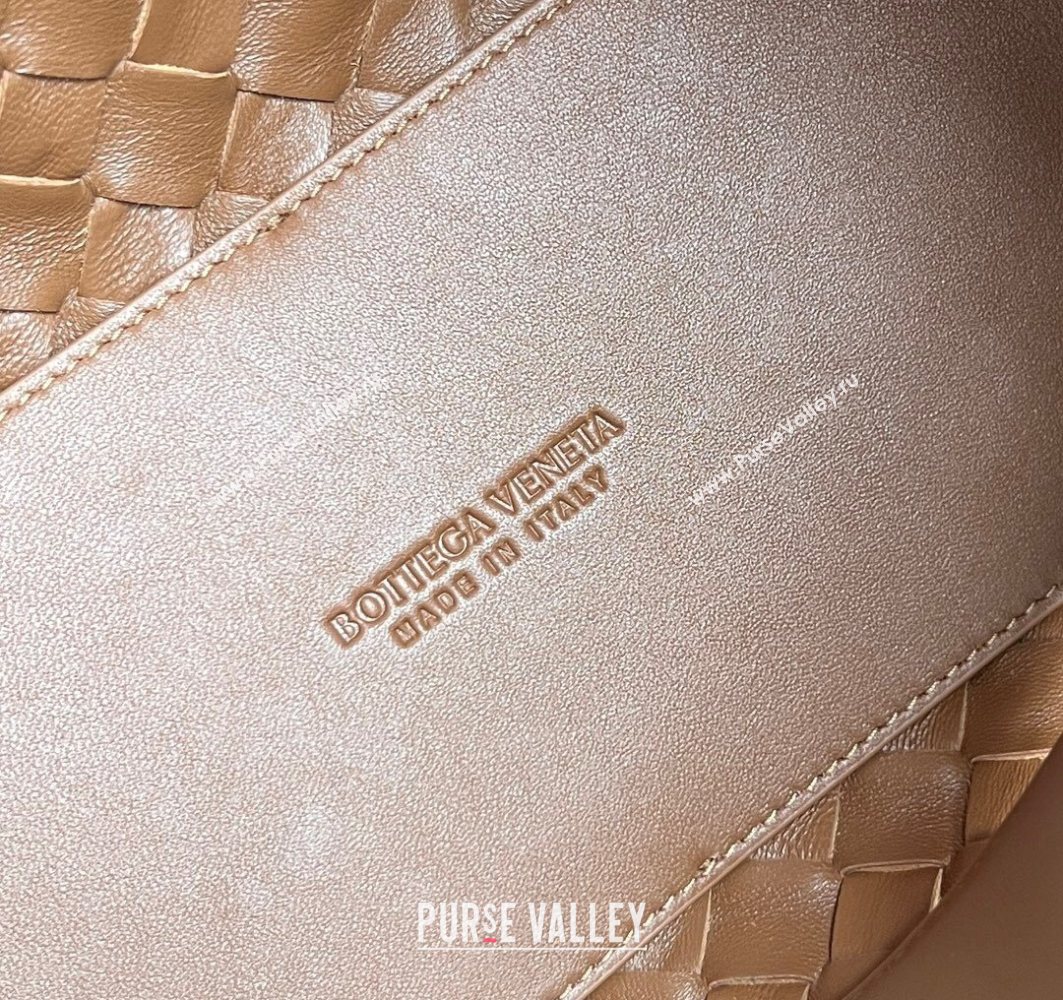Bottega Veneta Medium Andiamo Top Handle Bag in Suede 743572 Brown2 2025 (WT-251119016)