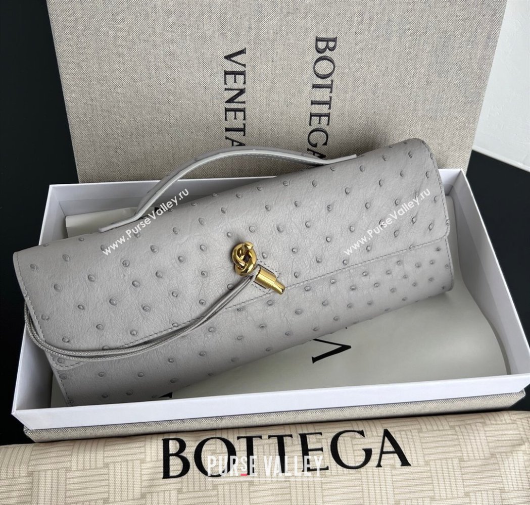 Bottega Veneta Andiamo Clutch in Ostrich Leather Sterling Grey 2026 805241 (WT-260116010)