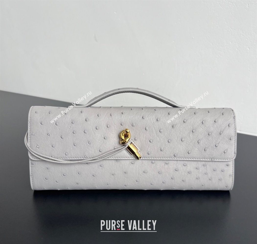 Bottega Veneta Andiamo Clutch in Ostrich Leather Sterling Grey 2026 805241 (WT-260116010)