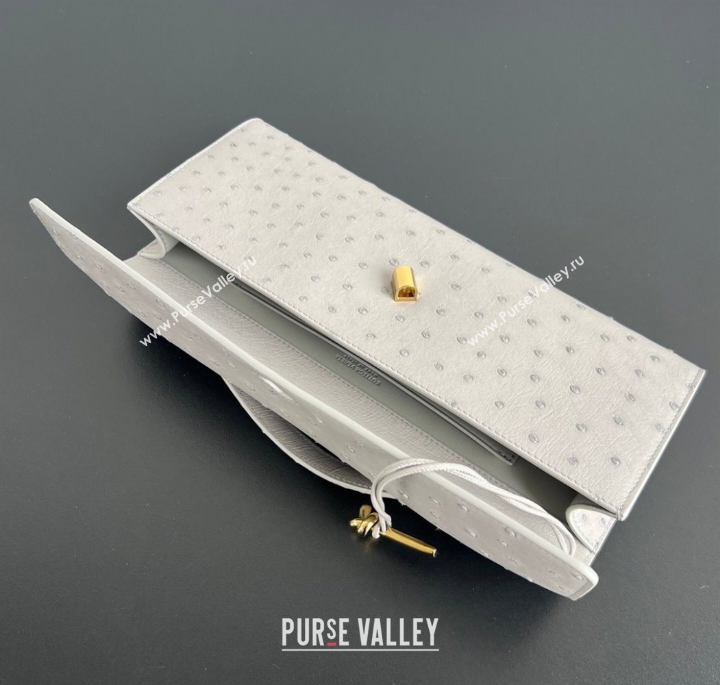 Bottega Veneta Andiamo Clutch in Ostrich Leather Sterling Grey 2026 805241 (WT-260116010)