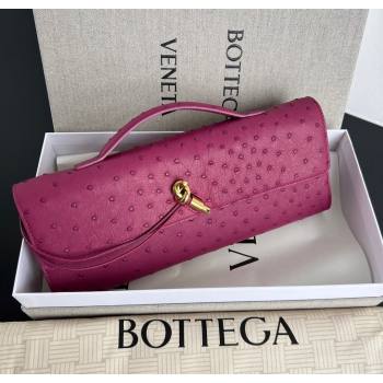 Bottega Veneta Andiamo Clutch in Ostrich Leather Cinnabar Pink 2026 805241 (WT-260116011)