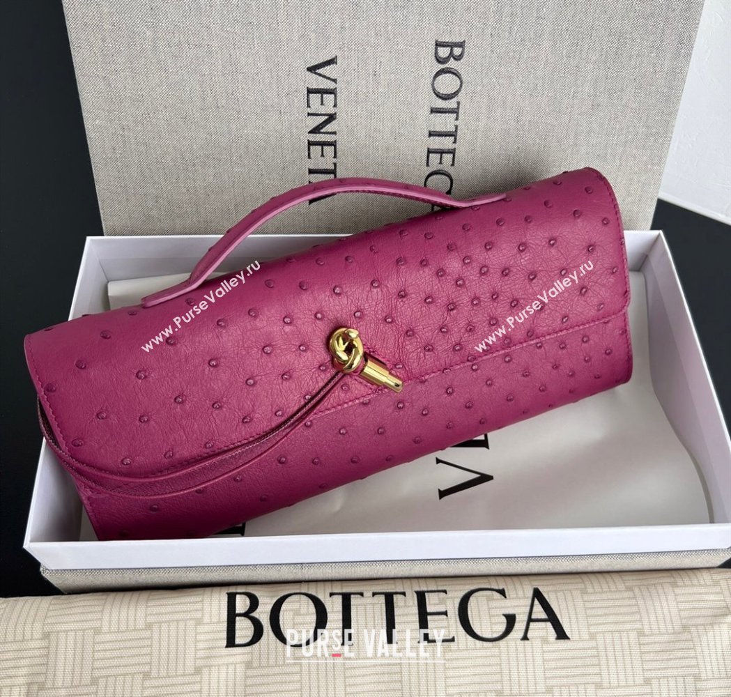 Bottega Veneta Andiamo Clutch in Ostrich Leather Cinnabar Pink 2026 805241 (WT-260116011)