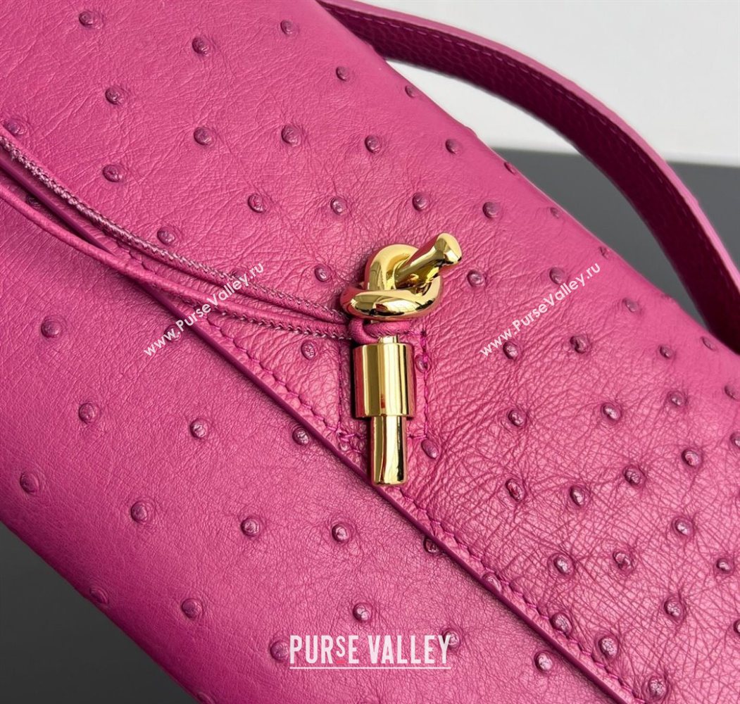 Bottega Veneta Andiamo Clutch in Ostrich Leather Cinnabar Pink 2026 805241 (WT-260116011)