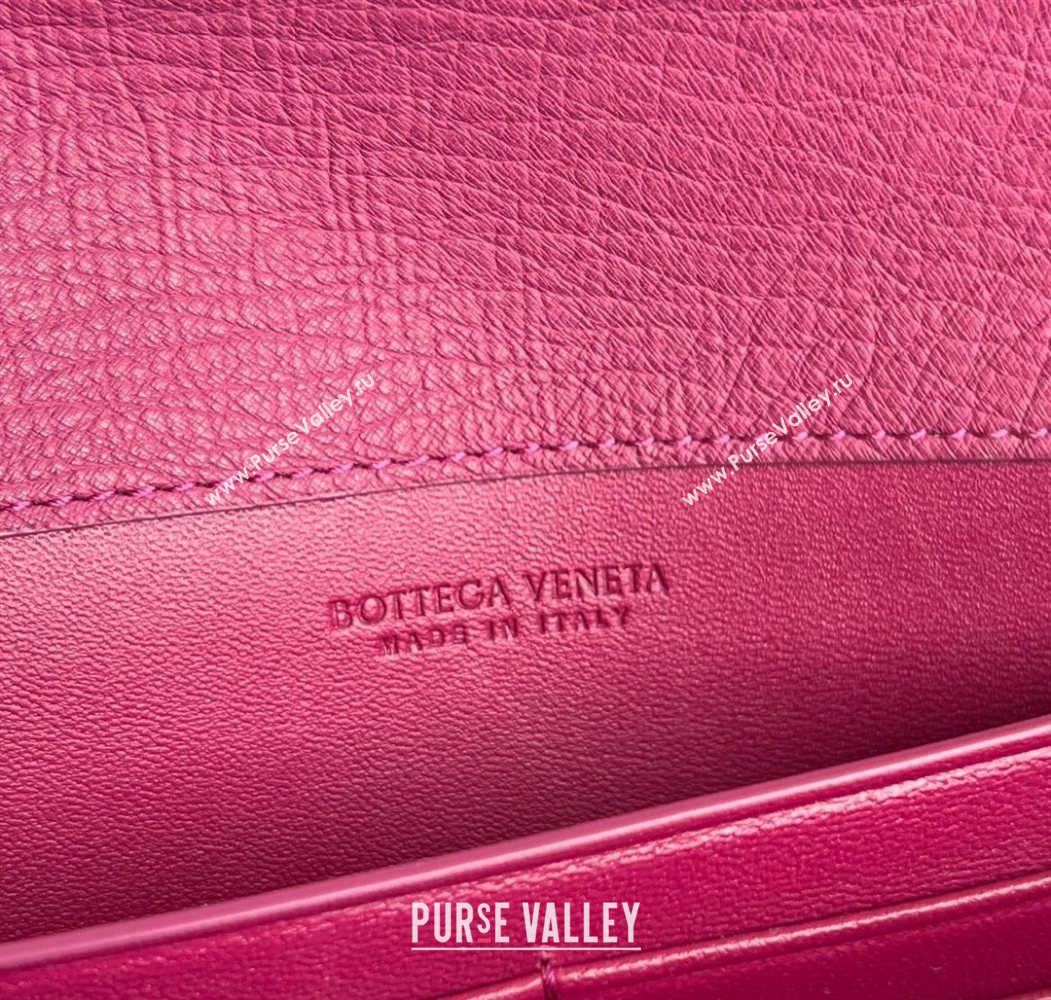 Bottega Veneta Andiamo Clutch in Ostrich Leather Cinnabar Pink 2026 805241 (WT-260116011)
