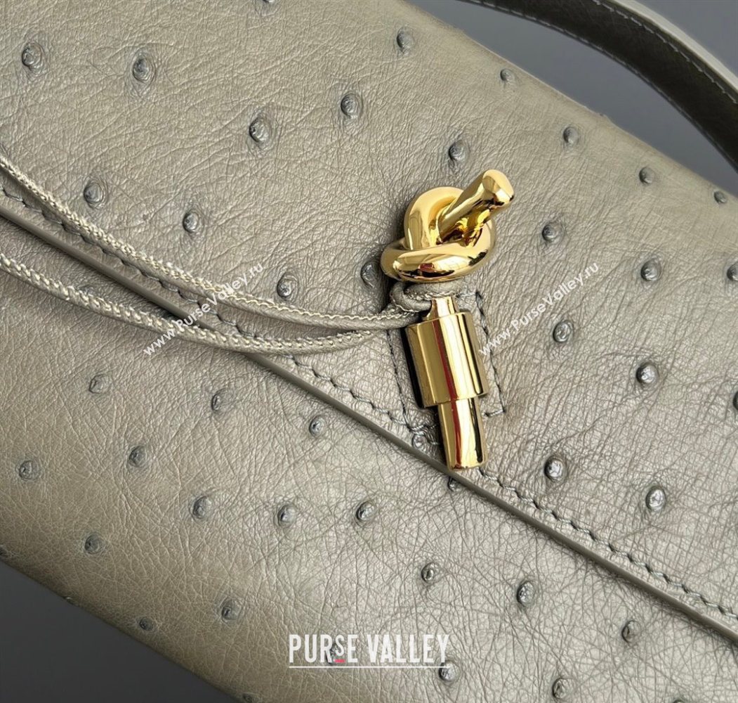 Bottega Veneta Andiamo Clutch in Ostrich Leather Cypress Green 2026 805241 (WT-260116012)