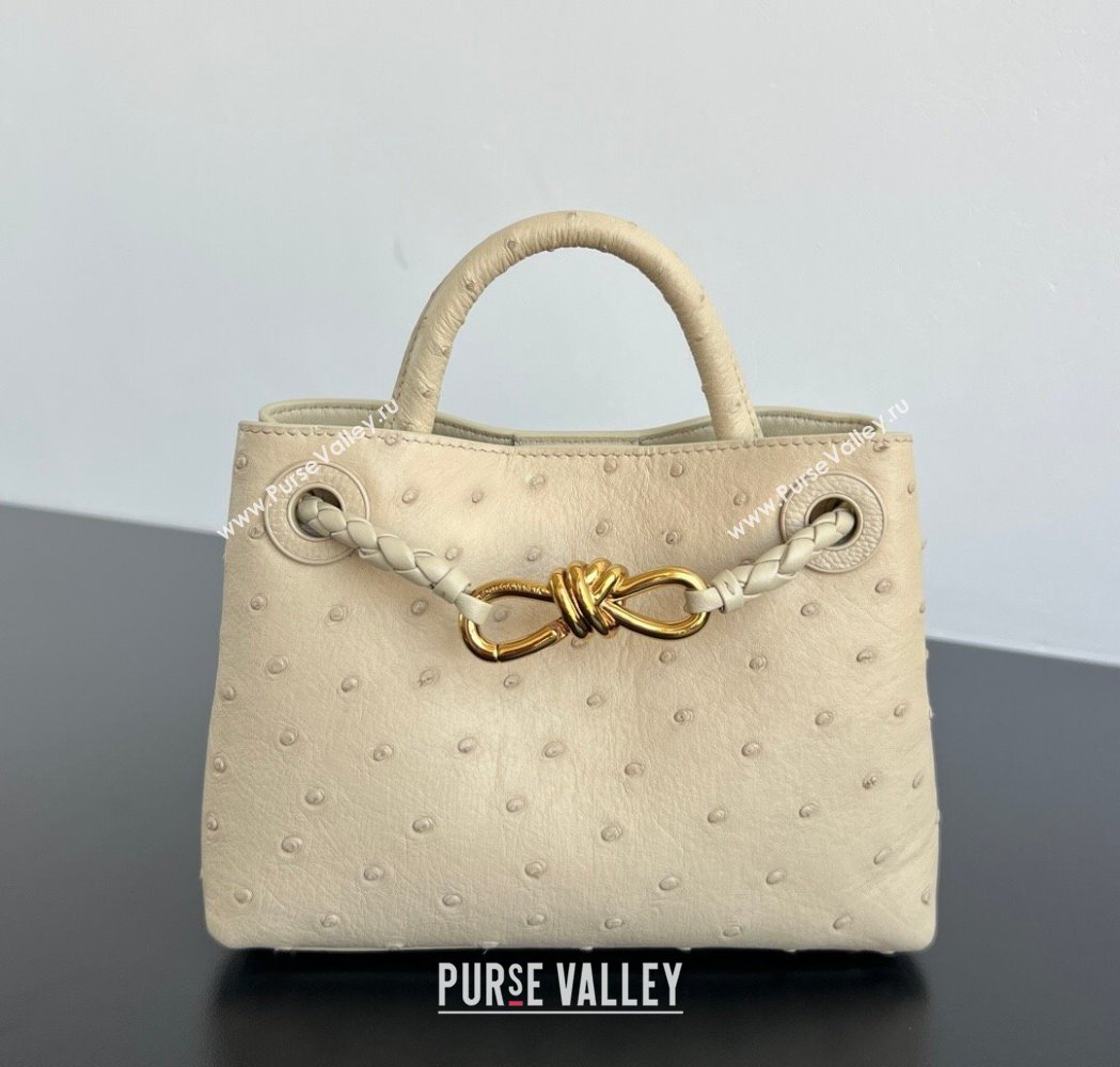 Bottega Veneta Mini Andiamo Top Handle Bag in Ostrich Leather Pale Cream Yellow 2026 805232 (WT-260116014)