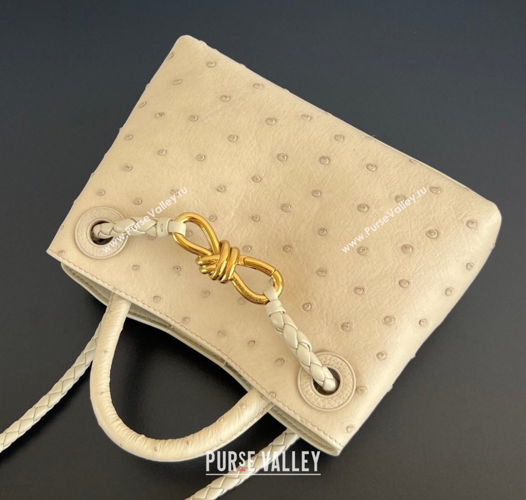 Bottega Veneta Mini Andiamo Top Handle Bag in Ostrich Leather Pale Cream Yellow 2026 805232 (WT-260116014)