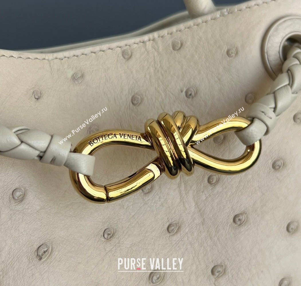 Bottega Veneta Mini Andiamo Top Handle Bag in Ostrich Leather Pale Cream Yellow 2026 805232 (WT-260116014)