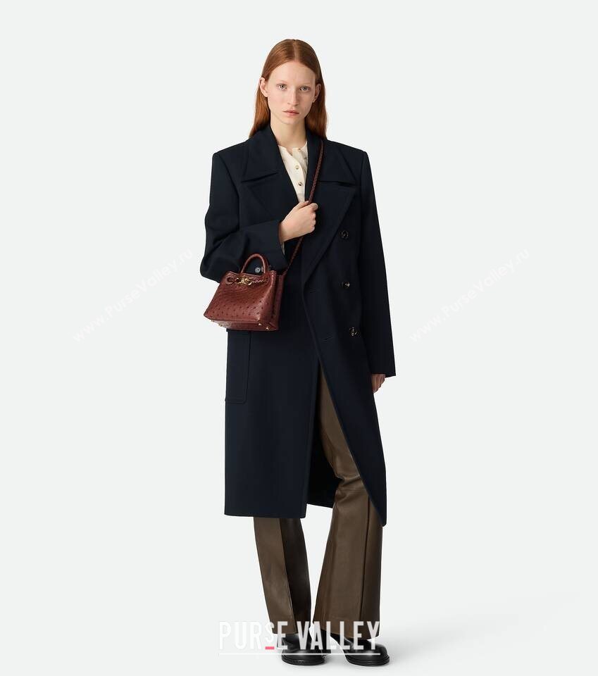 Bottega Veneta Mini Andiamo Top Handle Bag in Ostrich Leather Sapele Red 2026 805232 (WT-260116015)