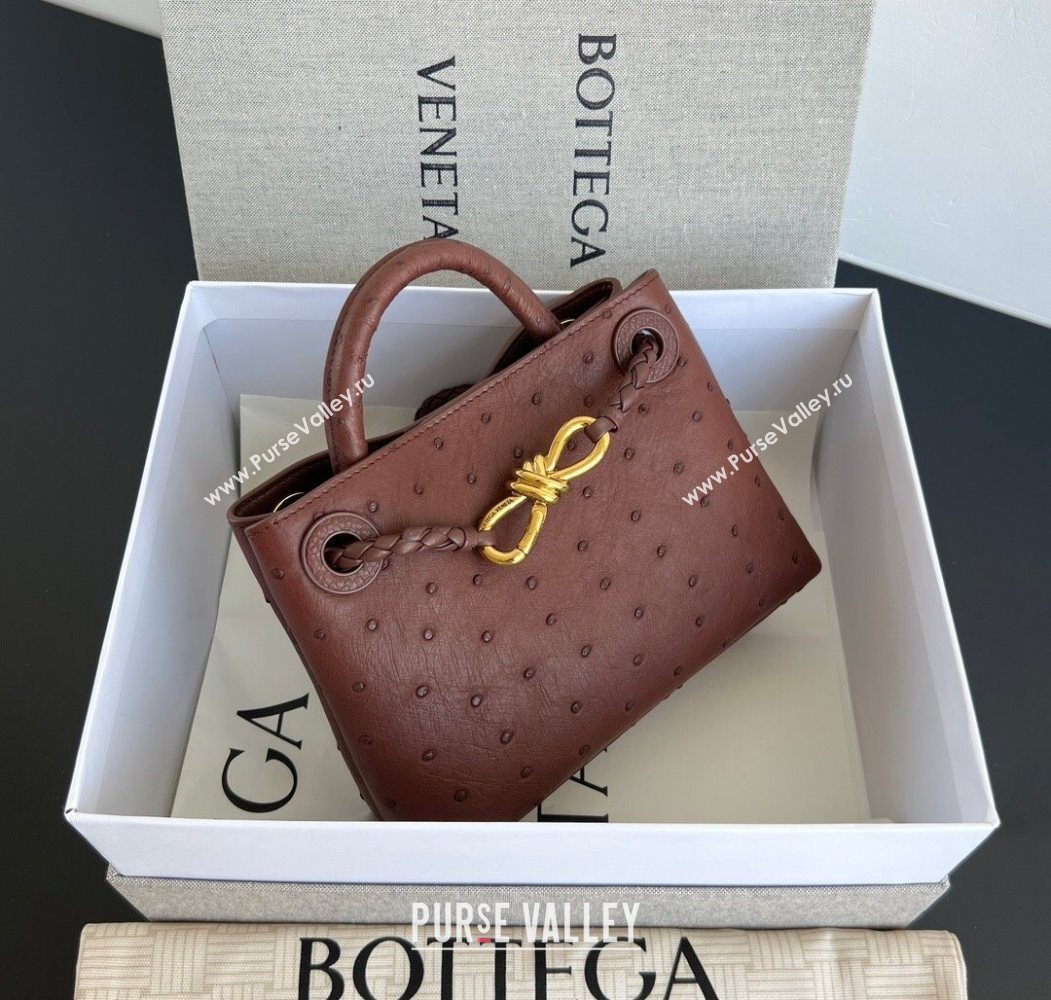 Bottega Veneta Mini Andiamo Top Handle Bag in Ostrich Leather Sapele Red 2026 805232 (WT-260116015)