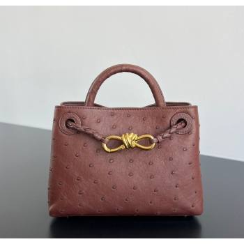 Bottega Veneta Mini Andiamo Top Handle Bag in Ostrich Leather Sapele Red 2026 805232 (WT-260116015)