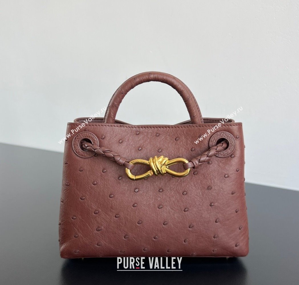 Bottega Veneta Mini Andiamo Top Handle Bag in Ostrich Leather Sapele Red 2026 805232 (WT-260116015)