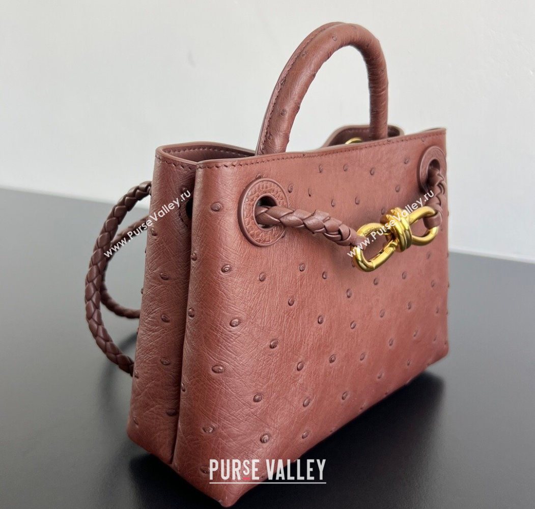 Bottega Veneta Mini Andiamo Top Handle Bag in Ostrich Leather Sapele Red 2026 805232 (WT-260116015)