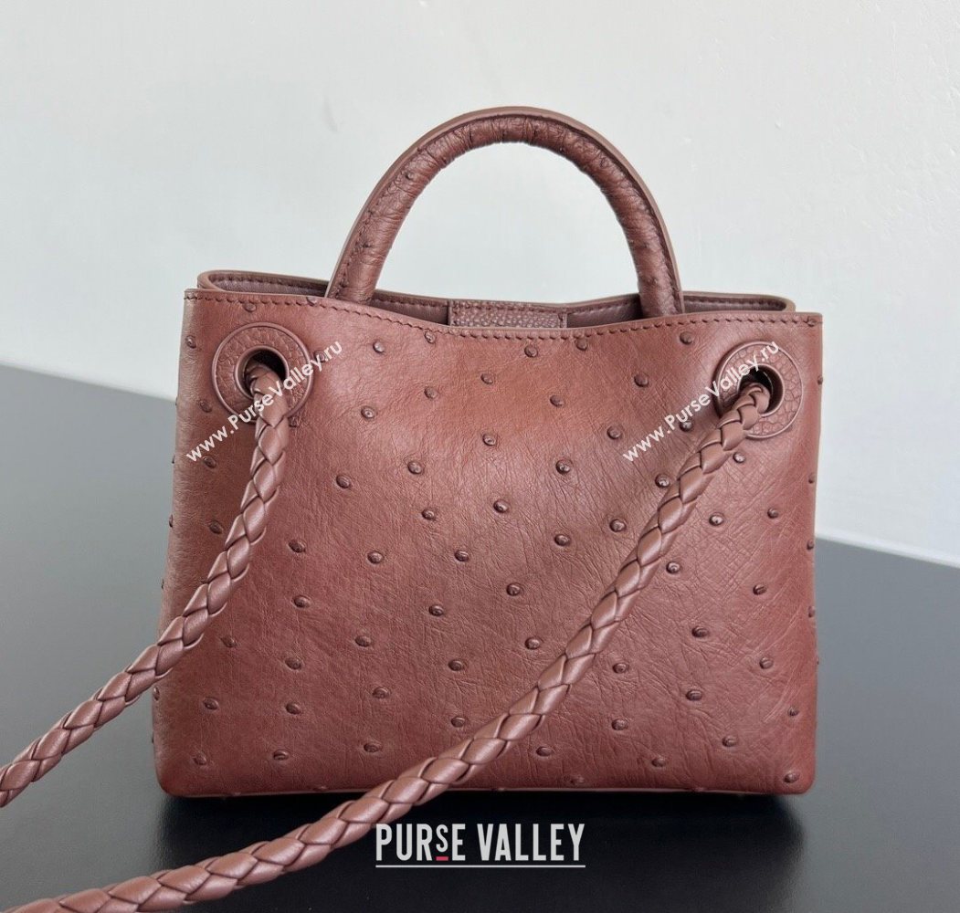 Bottega Veneta Mini Andiamo Top Handle Bag in Ostrich Leather Sapele Red 2026 805232 (WT-260116015)