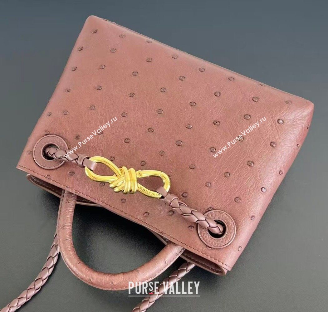 Bottega Veneta Mini Andiamo Top Handle Bag in Ostrich Leather Sapele Red 2026 805232 (WT-260116015)