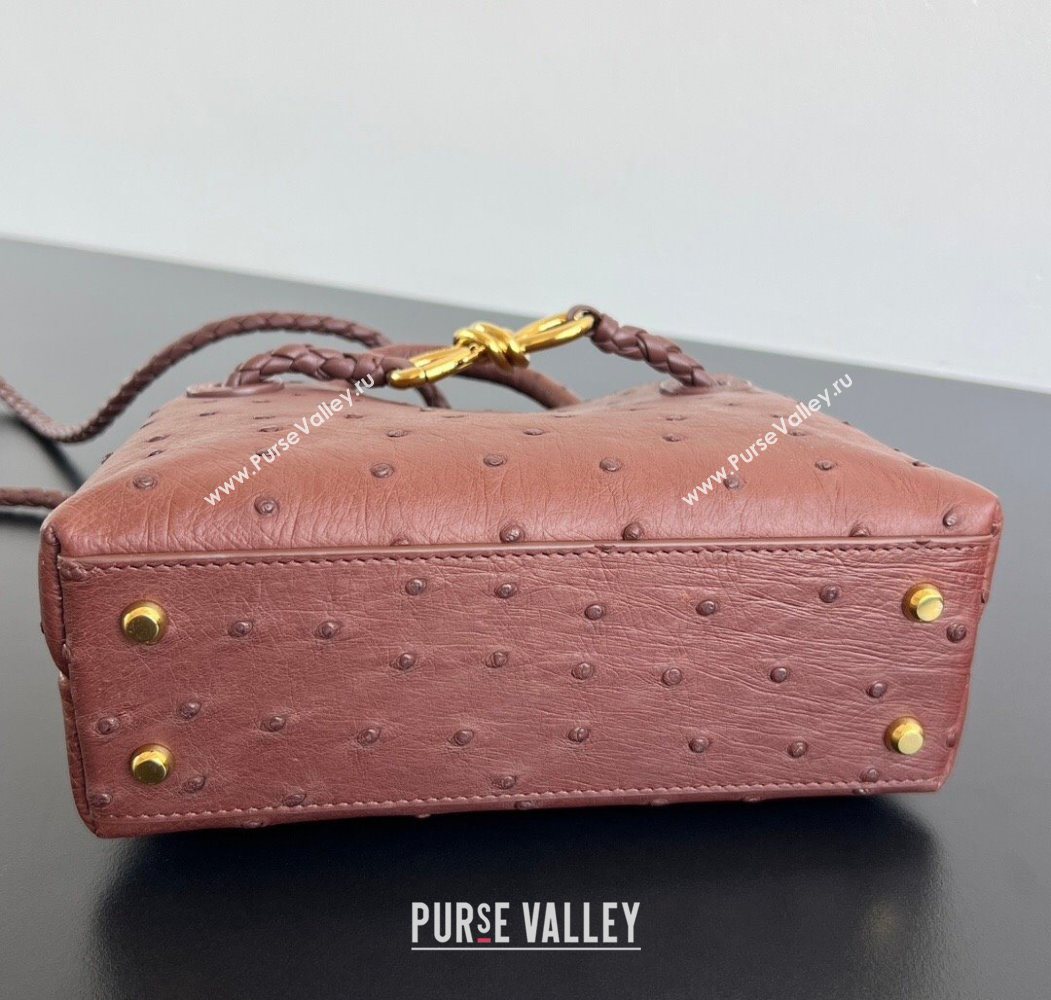 Bottega Veneta Mini Andiamo Top Handle Bag in Ostrich Leather Sapele Red 2026 805232 (WT-260116015)