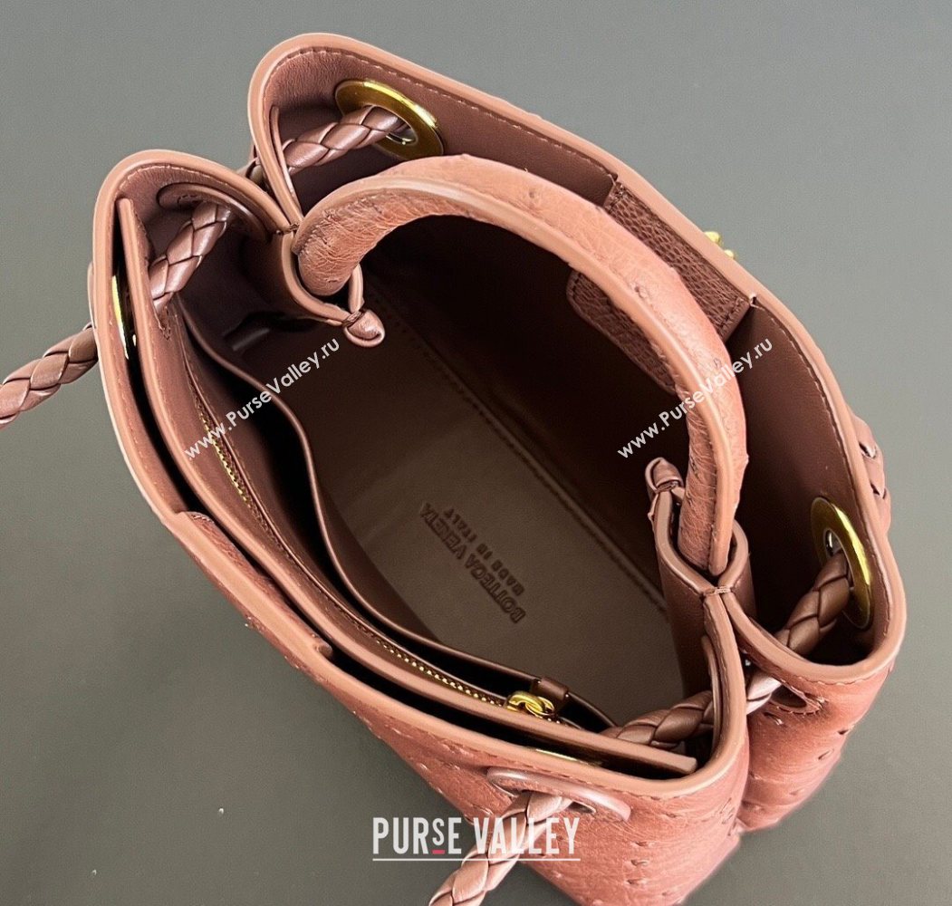 Bottega Veneta Mini Andiamo Top Handle Bag in Ostrich Leather Sapele Red 2026 805232 (WT-260116015)