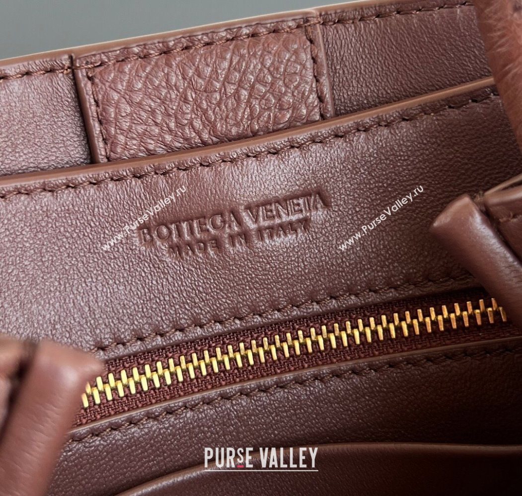 Bottega Veneta Mini Andiamo Top Handle Bag in Ostrich Leather Sapele Red 2026 805232 (WT-260116015)