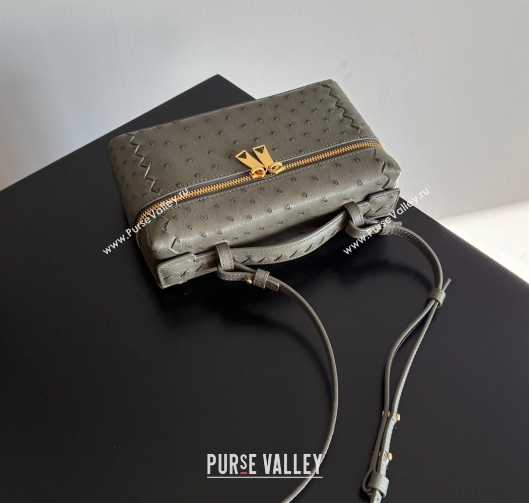 Bottega Veneta Bang Bang Vanity Case Bag in Ostrich Leather Cypress Green 2026 817785 (WT-260116007)