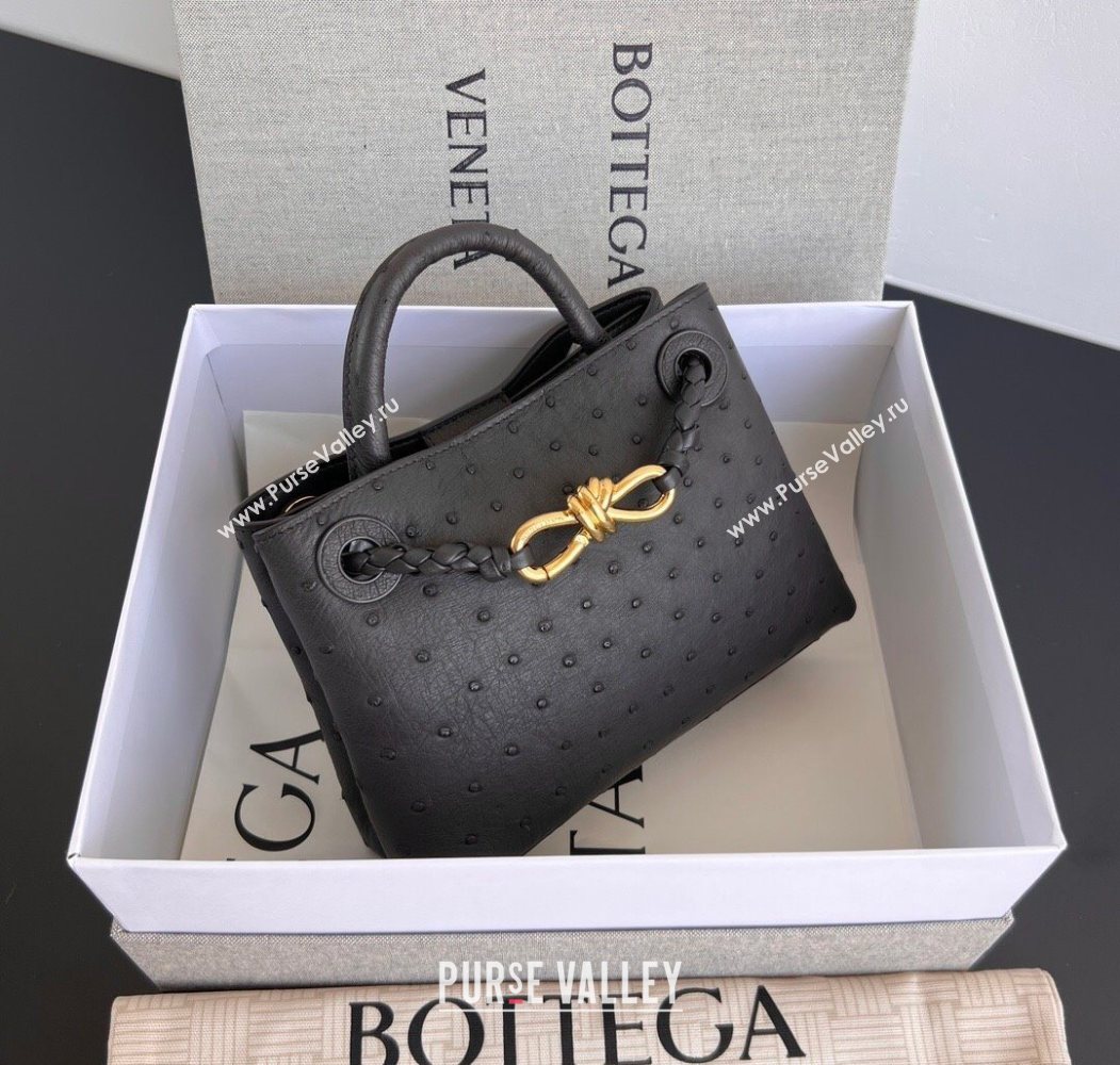 Bottega Veneta Mini Andiamo Top Handle Bag in Ostrich Leather Deep Brown 2026 805232 (WT-260116016)