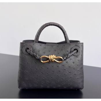 Bottega Veneta Mini Andiamo Top Handle Bag in Ostrich Leather Deep Brown 2026 805232 (WT-260116016)