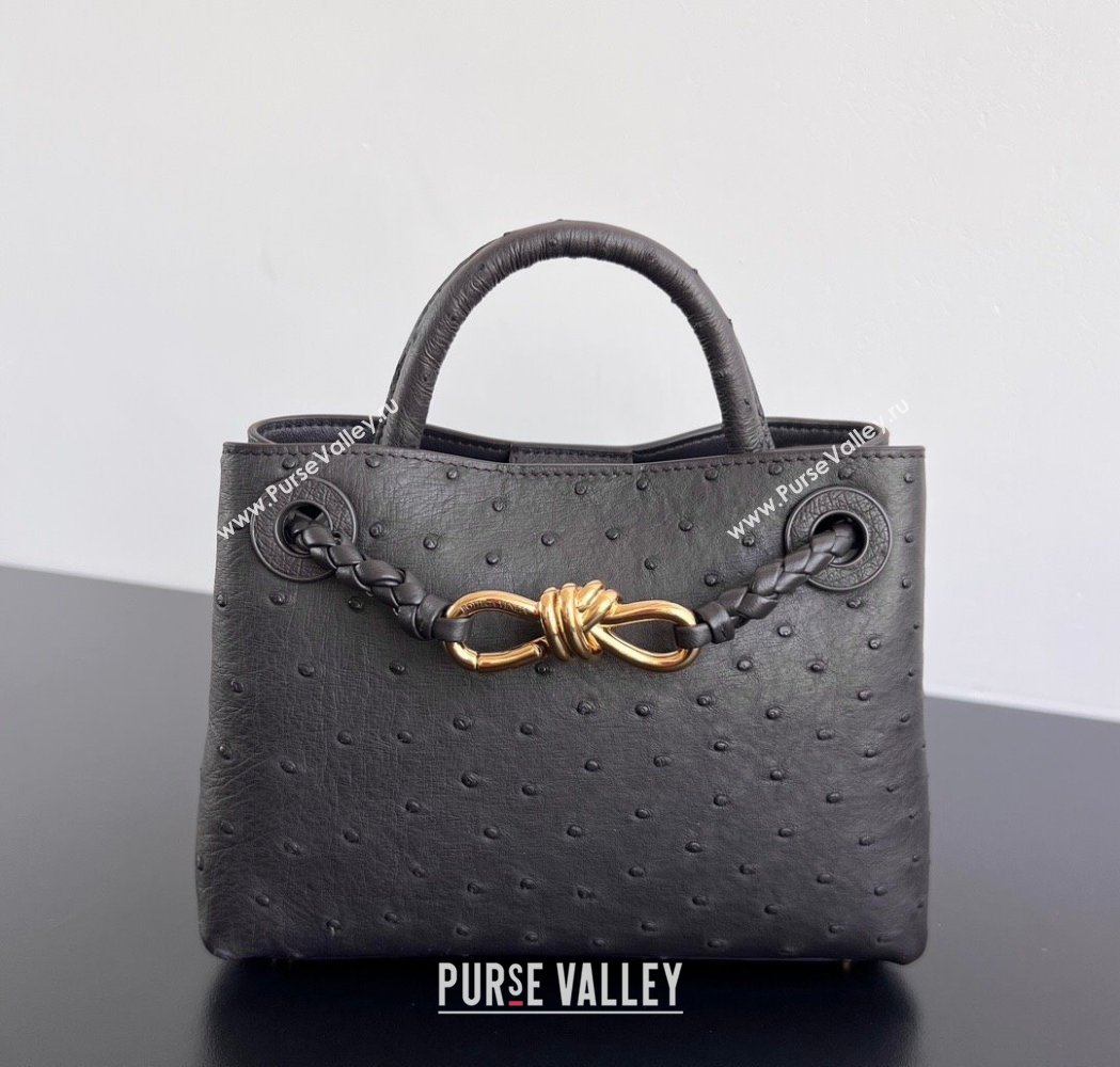 Bottega Veneta Mini Andiamo Top Handle Bag in Ostrich Leather Deep Brown 2026 805232 (WT-260116016)
