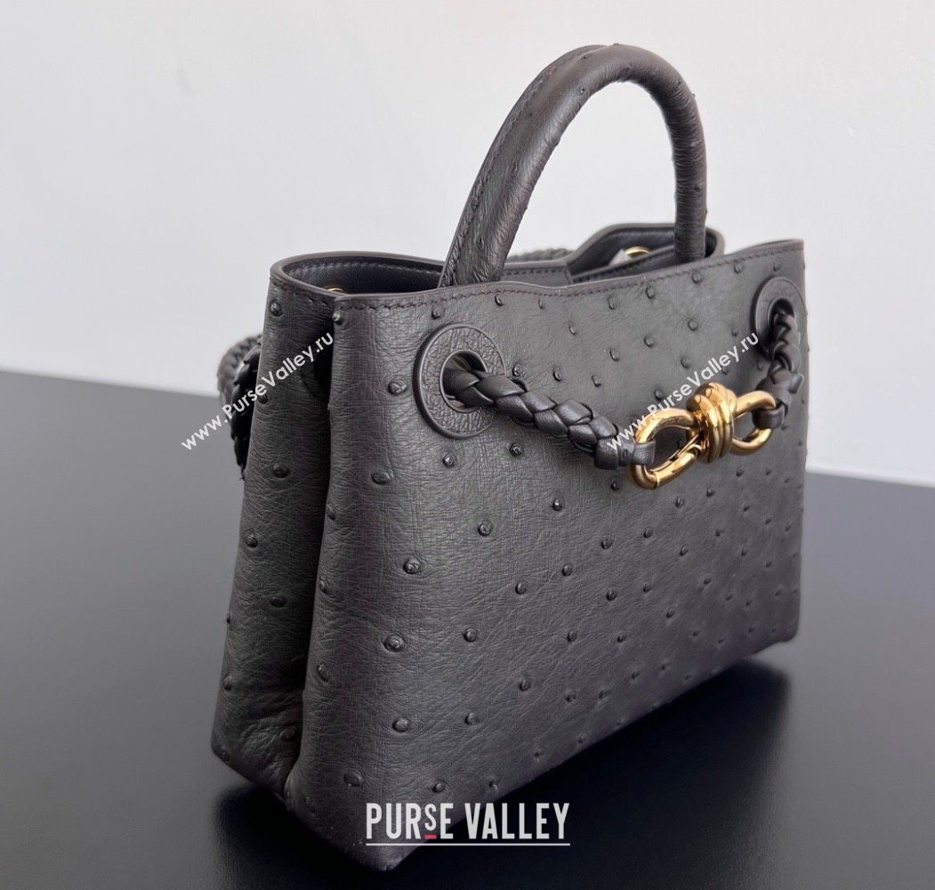 Bottega Veneta Mini Andiamo Top Handle Bag in Ostrich Leather Deep Brown 2026 805232 (WT-260116016)