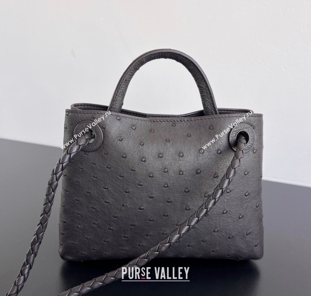 Bottega Veneta Mini Andiamo Top Handle Bag in Ostrich Leather Deep Brown 2026 805232 (WT-260116016)