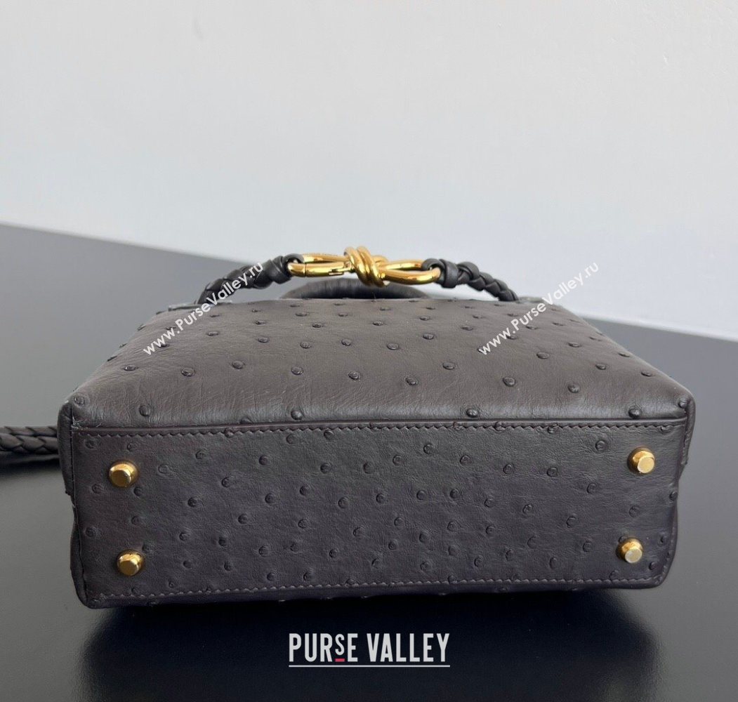 Bottega Veneta Mini Andiamo Top Handle Bag in Ostrich Leather Deep Brown 2026 805232 (WT-260116016)