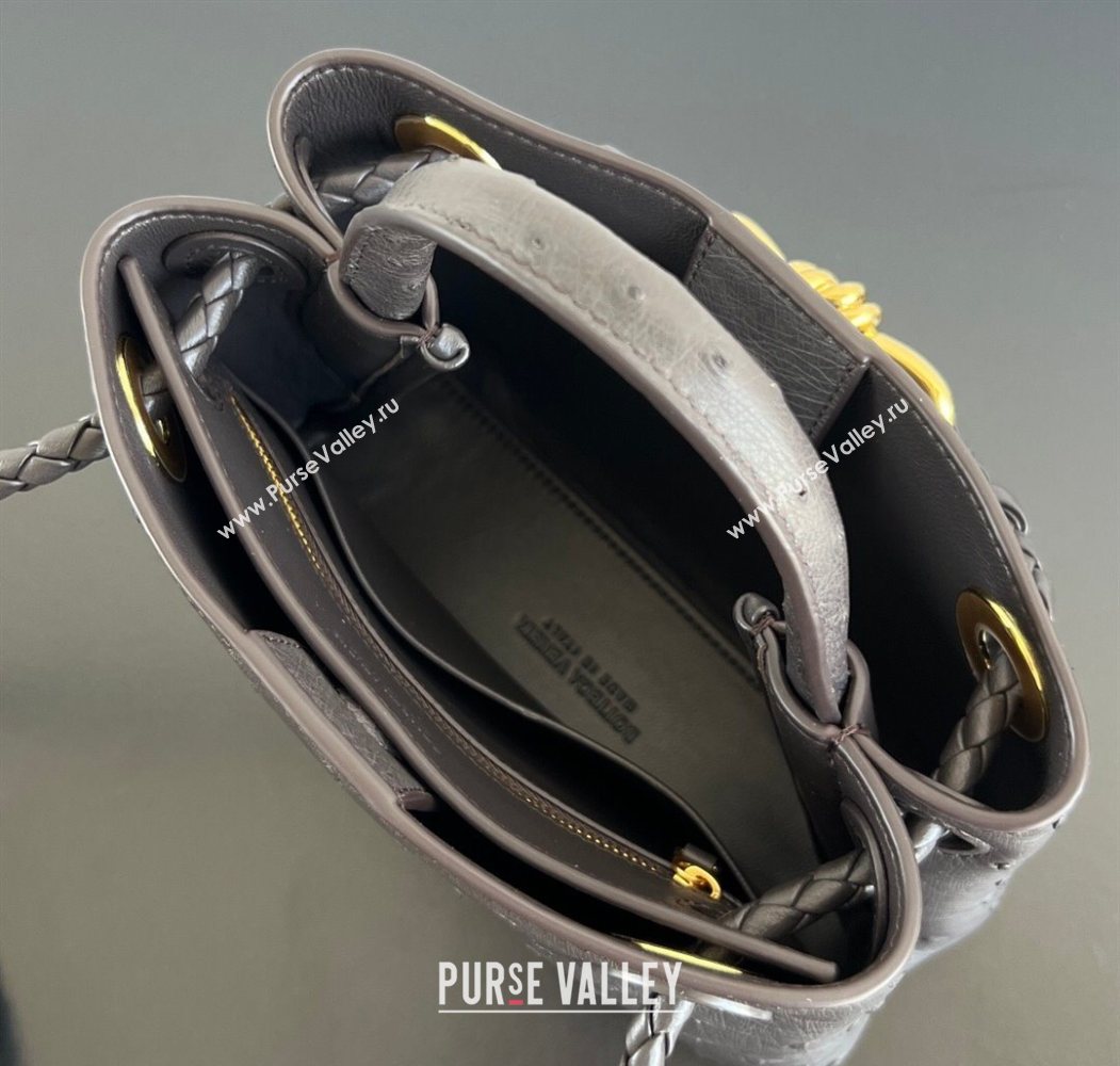 Bottega Veneta Mini Andiamo Top Handle Bag in Ostrich Leather Deep Brown 2026 805232 (WT-260116016)