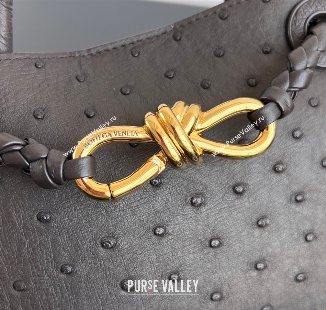 Bottega Veneta Mini Andiamo Top Handle Bag in Ostrich Leather Deep Brown 2026 805232 (WT-260116016)