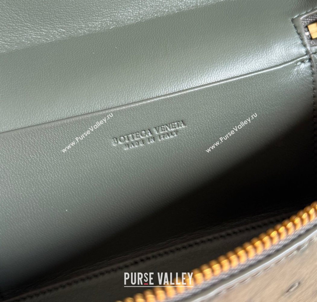 Bottega Veneta Bang Bang Vanity Case Bag in Ostrich Leather Cypress Green 2026 817785 (WT-260116007)