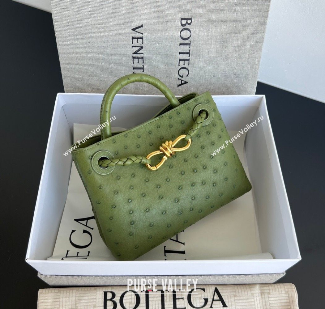 Bottega Veneta Mini Andiamo Top Handle Bag in Ostrich Leather Matcha Green 2026 805232 (WT-260116017)