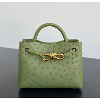 Bottega Veneta Mini Andiamo Top Handle Bag in Ostrich Leather Matcha Green 2026 805232 (WT-260116017)