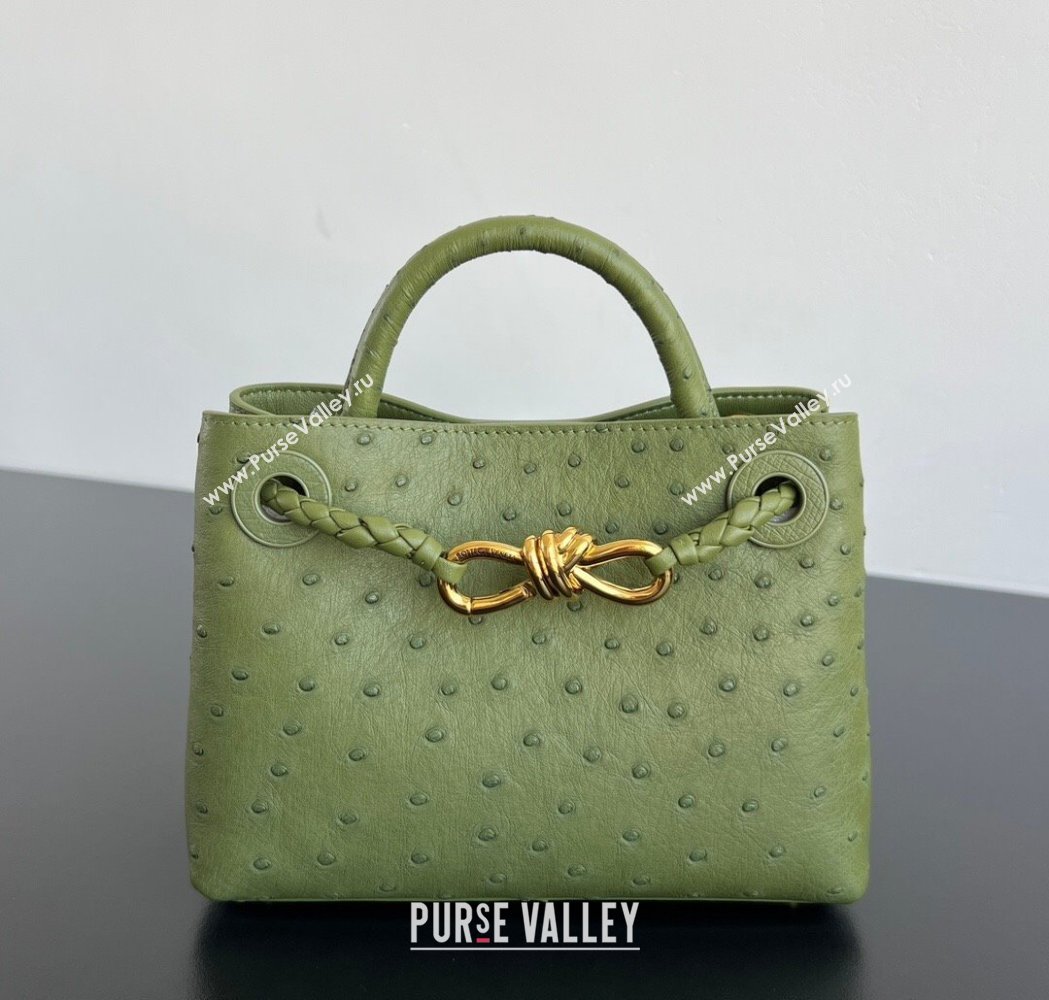 Bottega Veneta Mini Andiamo Top Handle Bag in Ostrich Leather Matcha Green 2026 805232 (WT-260116017)