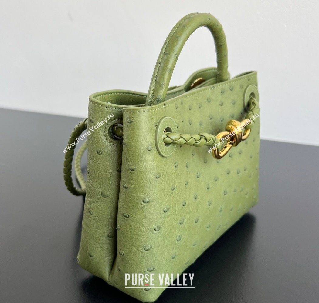 Bottega Veneta Mini Andiamo Top Handle Bag in Ostrich Leather Matcha Green 2026 805232 (WT-260116017)